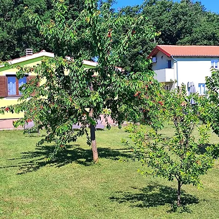 Hébergement de vacances Kuca Za Odmor Tri Sunca Pula