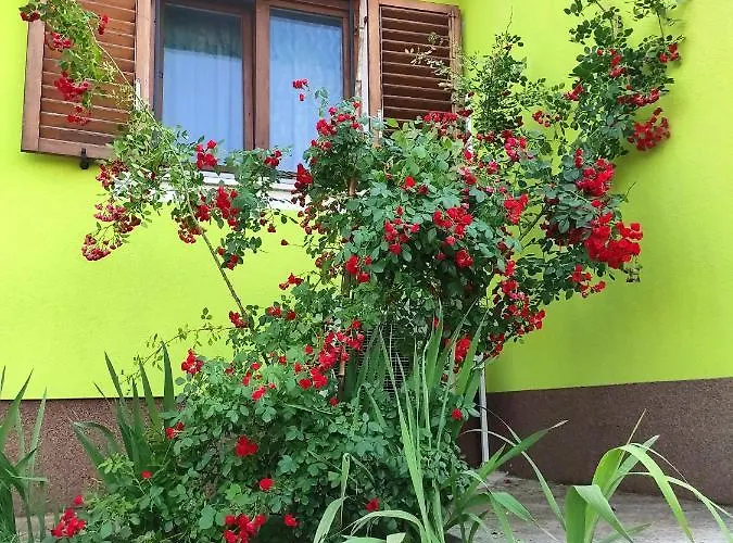 Kuca Za Odmor Tri Sunca Póla