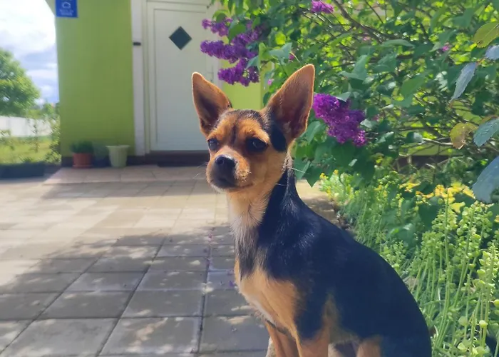 Nyaraló Kuca Za Odmor Tri Sunca Póla