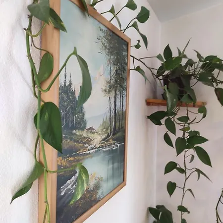 Kuca Za Odmor Tri Sunca Pola