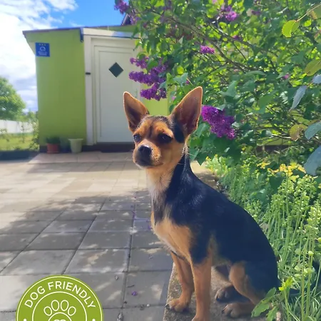 Casa vacanze Kuca Za Odmor Tri Sunca Pola